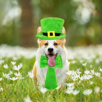 Ирландский день, собачья шляпа, галстук-бабочка, шапочки для щенков, головной убор на День Святого Патрика, регулируемый головной убор для костюмированной вечеринки с кошкой, аксессуары для домашних животных DC05