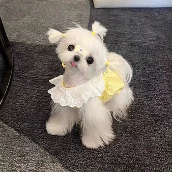 Юбка для собаки, милое кружевное платье в стиле принцессы, Летняя одежда для маленьких собачек, щенки йоркширской чихуахуа, кошки, платья для домашних животных